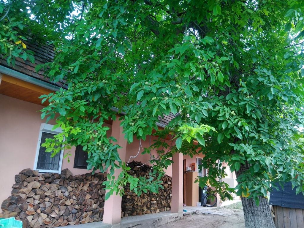 Property image Eladó Családi ház Fejér megye, Vereb