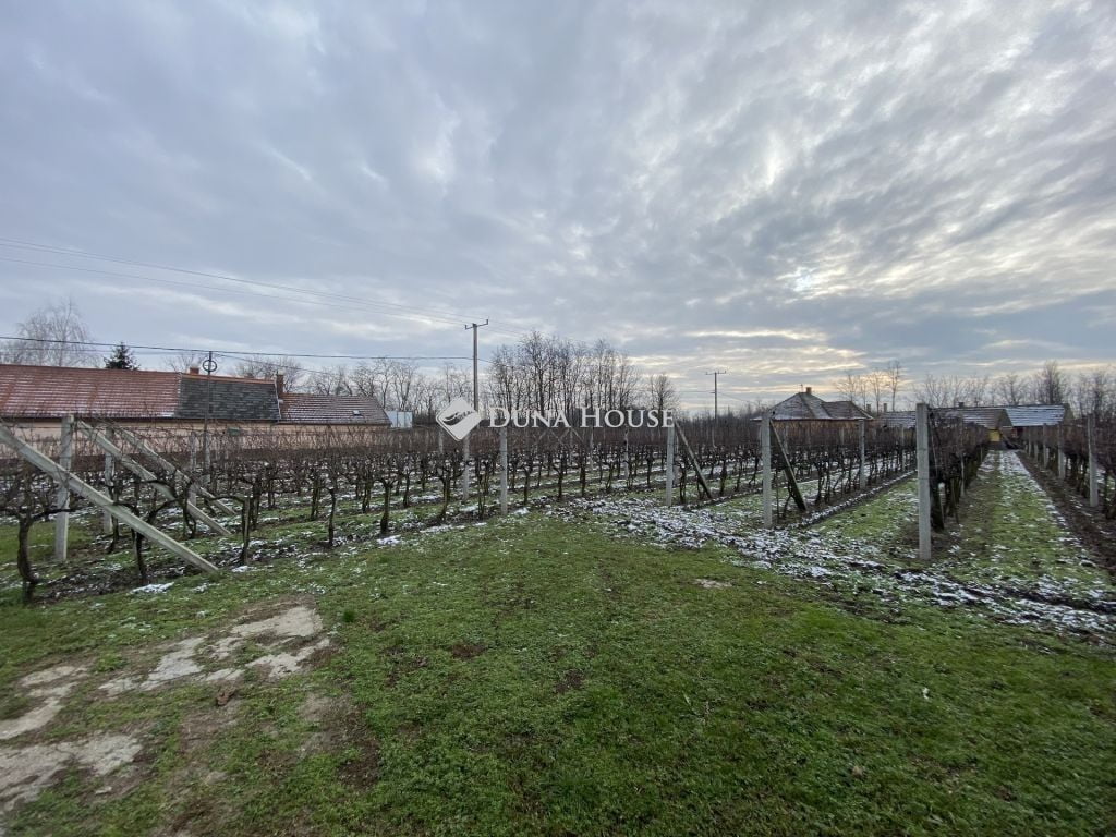 Property image Eladó Tanya Templomosi út, Daruszentmiklós