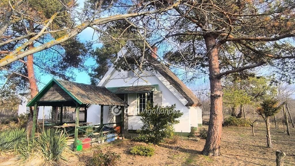 Property image Eladó Családi ház Csongrád megye, Csongrád