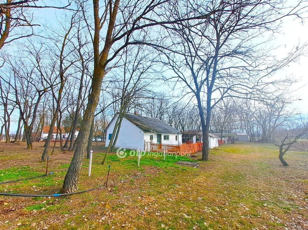 Property image Eladó Tanya Bács-Kiskun megye, Lajosmizse